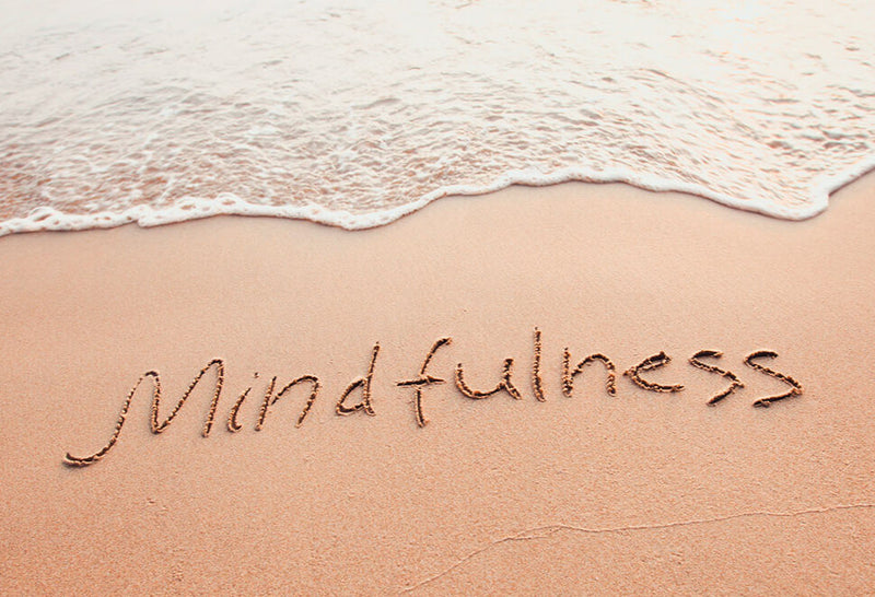 ¿Cómo Experimentar un Día Mindfulness?✨