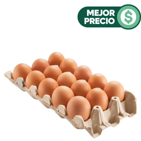 huevos-frescos-de-gallinas-libres-x-15-unids