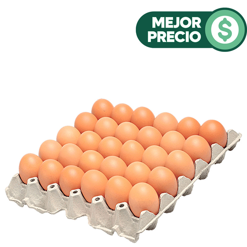 huevos-frescos-de-gallinas-libres-x-30-unids