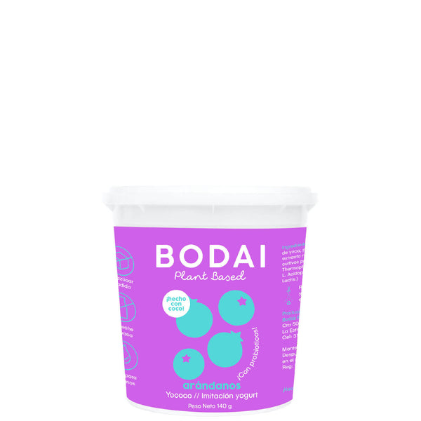 yogurt-de-coco-arandanos-yococo