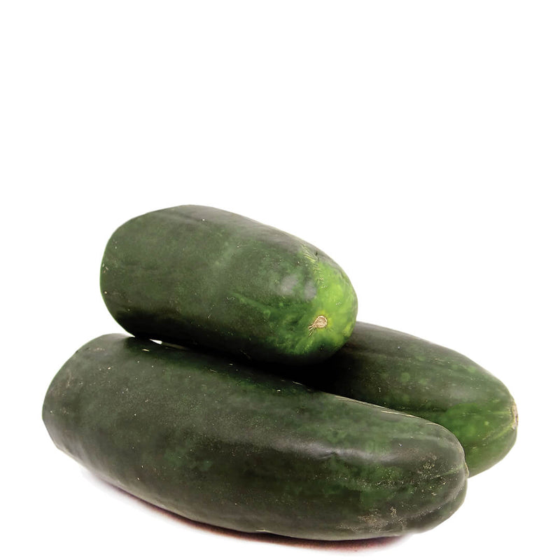 Zucchini Verde x 1 unid (0.6 - 0.8 kg)